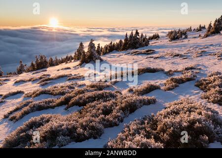 Mit einer Höhe von 10.492 Fuß ist der Mt Jefferson der zweithöchste Berg von Oregon. Mount Jefferson Wilderness Area, Oregon Der erste schneebedeckte Zentraloregon Stockfoto