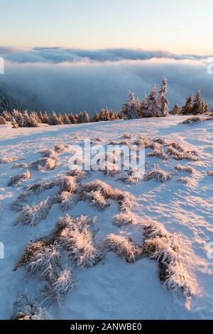 Mit einer Höhe von 10.492 Fuß ist der Mt Jefferson der zweithöchste Berg von Oregon. Mount Jefferson Wilderness Area, Oregon Der erste schneebedeckte Zentraloregon Stockfoto