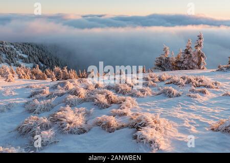 Mit einer Höhe von 10.492 Fuß ist der Mt Jefferson der zweithöchste Berg von Oregon. Mount Jefferson Wilderness Area, Oregon Der erste schneebedeckte Zentraloregon Stockfoto