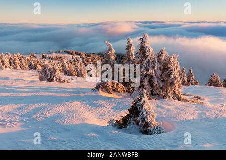 Mit einer Höhe von 10.492 Fuß ist der Mt Jefferson der zweithöchste Berg von Oregon. Mount Jefferson Wilderness Area, Oregon Der erste schneebedeckte Zentraloregon Stockfoto