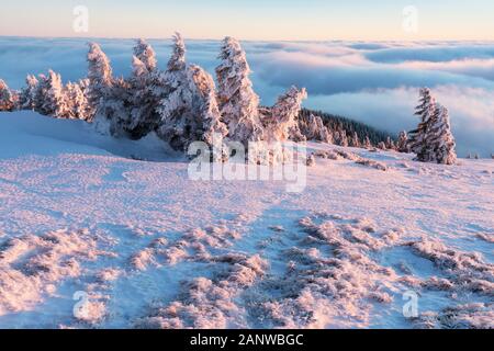 Mit einer Höhe von 10.492 Fuß ist der Mt Jefferson der zweithöchste Berg von Oregon. Mount Jefferson Wilderness Area, Oregon Der erste schneebedeckte Zentraloregon Stockfoto