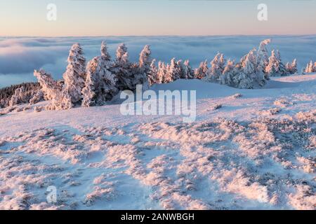 Mit einer Höhe von 10.492 Fuß ist der Mt Jefferson der zweithöchste Berg von Oregon. Mount Jefferson Wilderness Area, Oregon Der erste schneebedeckte Zentraloregon Stockfoto