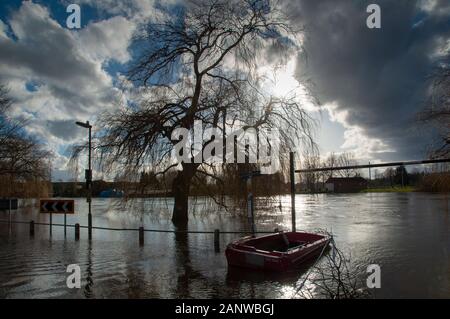 CHERTSEY, Großbritannien - 20 May 2014 - schwere Überschwemmungen nach der Themse burst es Banken im Oberlauf in der Nähe von Chertsey Surrey England Großbritannien Stockfoto