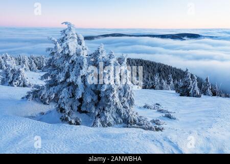 Mit einer Höhe von 10.492 Fuß ist der Mt Jefferson der zweithöchste Berg von Oregon. Mount Jefferson Wilderness Area, Oregon Der erste schneebedeckte Zentraloregon Stockfoto