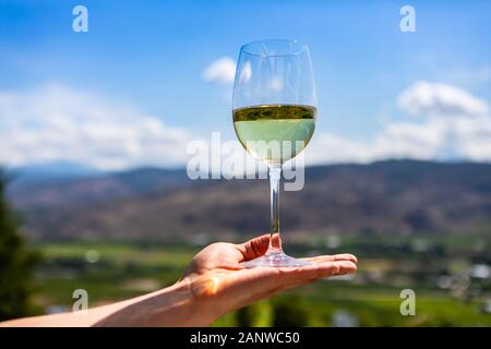 Ein Glas Weisswein auf Hand, selektiver Fokus Nahaufnahme gegen Weinberge Felder unscharfen Hintergrund, sonnigen Tag Okanagan Valley, British Columbia Stockfoto