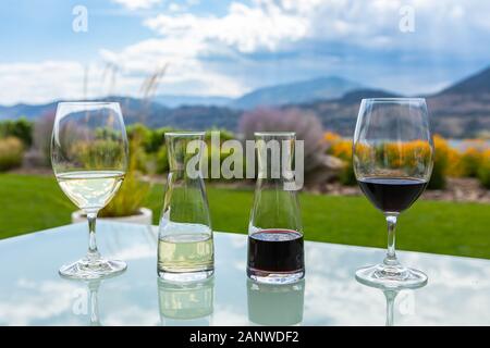 Kleine Karaffen und Gläser mit Rot- und Weißweine auf einem Glastisch, Weinprobe stemware gegen einen Garten Gras Bergblick Hintergrund Stockfoto