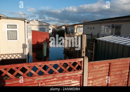 CHERTSEY, Großbritannien - 20 May 2014 - schwere Überschwemmungen nach der Themse burst es Banken im Oberlauf in der Nähe von Chertsey Surrey England Großbritannien Stockfoto