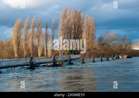 CHERTSEY, Großbritannien - 20 May 2014 - schwere Überschwemmungen nach der Themse burst es Banken im Oberlauf in der Nähe von Chertsey Surrey England Großbritannien Stockfoto