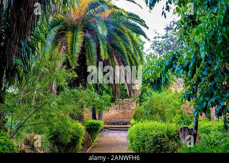 Tropischer Garten im Sala Colonia und Islamischen komplexe Chellah, Moschee und Minarett. Chellah ist die Nekropole von Rabat. Marokko. Stockfoto