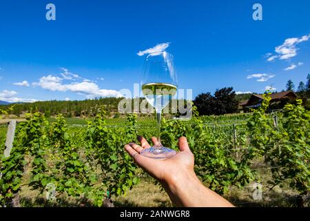 Ein Glas klar weiss Wein auf der Hand gegen schöne Aussicht auf Okanagan Valley Weinberge Weinberge, Weingut Bauernhaus Immobilien Gebäude Hintergrund Stockfoto