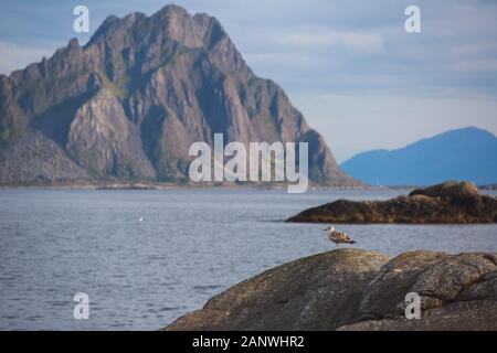 Schöne super Weitwinkel- Winter Sommer Blick auf Svolvaer, Norwegen, Lofoten, mit Skyline, Berge, Insel Austvagoya, Vagan Gemeinde, Keine Stockfoto