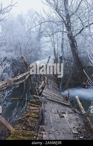 Alte hölzerne verwitterte Brücke über den Fluss, gebrochen und eingestürzt Stockfoto