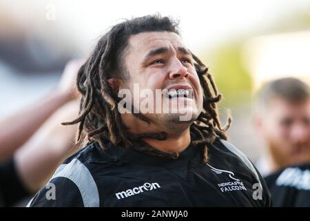 Leeds, Großbritannien. 15 Jan, 2019. LEEDS, England - 19. JANUAR Falken prop vorwärts, Sam Lockwood dargestellt, bevor die Greene King IPA Championship Match zwischen Yorkshire Carnegie und Newcastle Falcons bei Headingley Leeds Carnegie Stadion, am Sonntag, den 19. Januar 2020. (Quelle: Chris Lishman | MI Nachrichten) das Fotografieren dürfen nur für Zeitung und/oder Zeitschrift redaktionelle Zwecke verwendet werden, eine Lizenz für die gewerbliche Nutzung Kreditkarte erforderlich: MI Nachrichten & Sport/Alamy leben Nachrichten Stockfoto