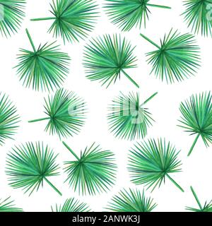 Aquarell grün Palm Blätter auf einem weißen Hintergrund. Nahtlose Muster. Abbildung. Stockfoto