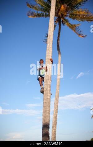 Reisen in Kuba Stockfoto