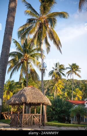 Reisen in Kuba Stockfoto
