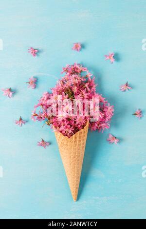 Feder Pink Cherry blühenden Blumen im Waffle Kegel auf blauem Hintergrund. Minimale Feder Konzept. Flach. top anzeigen. Vertikale Ausrichtung Stockfoto