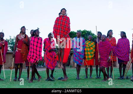 Eine Gruppe masai Stammesmann tanzen im Dorf in Masai Mara National Reserve während einer Wildtiersafari Stockfoto