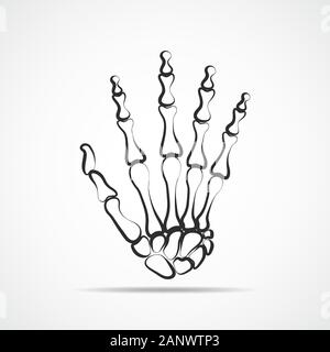 Hand Knochen auf hellen Hintergrund. Skelett von der Hand. Vector Illustration. Das Skelett der menschlichen Hand. Stock Vektor