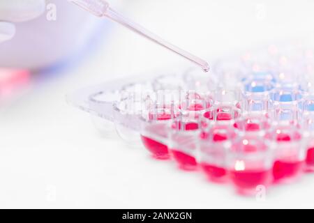 Pipette mit Tropfen Impfstoff über Set aus Kunststoff Zellen mit roten und blauen Flüssigkeiten Stockfoto