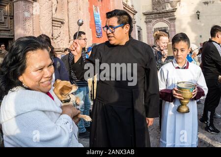 Eine römisch-katholische Priester segnet ein Hund während der jährlichen Segnung der Tiere am Fest des San Antonio Abad an Oratorio de San Felipe Neri Kirche Januar 17, 2020 im historischen Zentrum von San Miguel de Allende, Guanajuato, Mexiko. Stockfoto