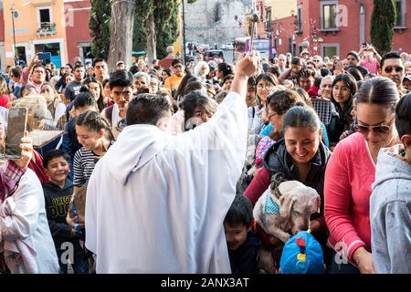 Eine römisch-katholische Priester segnet versammelt Haustiere und die Besitzer der Tiere während der jährlichen Segnung der Tiere am Fest des San Antonio Abad an Oratorio de San Felipe Neri Kirche Januar 17, 2020 im historischen Zentrum von San Miguel de Allende, Guanajuato, Mexiko. Stockfoto