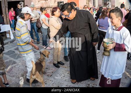 Eine römisch-katholische Priester segnet ein Hund während der jährlichen Segnung der Tiere am Fest des San Antonio Abad an Oratorio de San Felipe Neri Kirche Januar 17, 2020 im historischen Zentrum von San Miguel de Allende, Guanajuato, Mexiko. Stockfoto