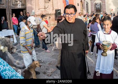 Eine römisch-katholische Priester segnet ein Hund während der jährlichen Segnung der Tiere am Fest des San Antonio Abad an Oratorio de San Felipe Neri Kirche Januar 17, 2020 im historischen Zentrum von San Miguel de Allende, Guanajuato, Mexiko. Stockfoto