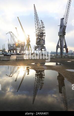 Krane auf dem Kai des Flusses Schelde in Antwerpen, Belgien, Nord Europa Stockfoto