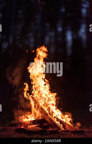 Brennen Lagerfeuer auf einer dunklen Nacht in einem Wald. Dämmerung Himmel und Bäume im Hintergrund. Stockfoto