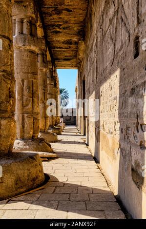 Papyrus bundle Säulen der Vorhalle des Sety I Tempel Stockfoto