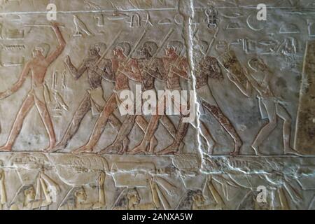 Die Wände des Grabes von Mehu sind reich dekoriert mit detailreichen Szenen des täglichen Lebens im alten Ägypten, die in lebendigen Farben gemalt sind Stockfoto