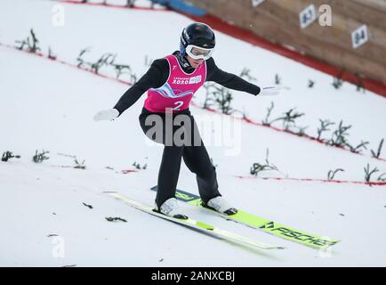 Les Rousses, Frankreich. 19 Jan, 2020. David Haagen Österreichs konkurriert während der Herren Einzel Skispringen Event am 3. Winter Youth Olympic Games in Les Tuffes Nordic Centre in Les Rousses, Frankreich, Jan. 19, 2020. Credit: Shan Yuqi/Xinhua/Alamy leben Nachrichten Stockfoto