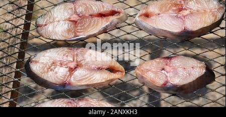Stücke von König Makrele Fisch auf dem Grill, Rohe getrocknete Meeresfrüchte in Thailand Stockfoto