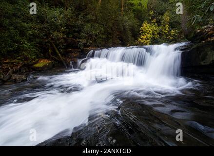 Wildcat Creek, Rabun County, Georgia. Wildcat Creek hetzen über eine Ihrer vielen Wasserfälle. Wildcat Creek ist in der Rabun County in North Georgia entfernt Stockfoto