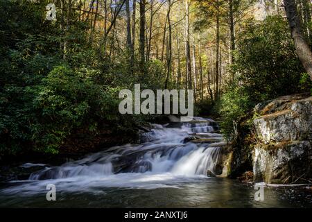 Herbst, Rabun County, Georgia. In den späten Herbst Farben entlang Wildcat Creek. Wildcat Creek ist in der Rabun County in North Georgia entfernt. Es fließt in der Regel Stockfoto