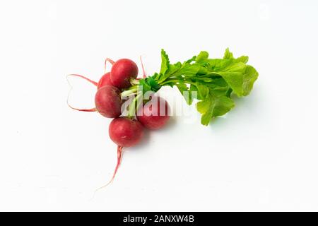 Red Muttern Rettich. Bio Lebensmittel Hintergrund. Gesunde, vegane Ernährung Hintergrund. isoliert weißer Hintergrund. Ansicht von oben. Freier Platz für Ihren Text Stockfoto