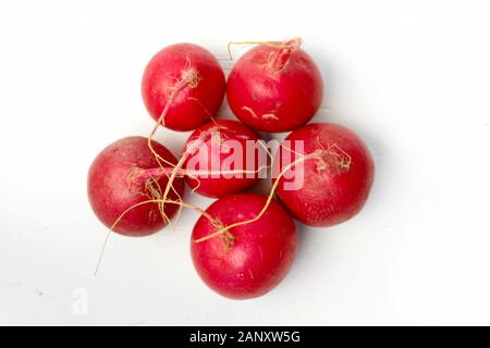 Red Muttern Rettich. Bio Lebensmittel Hintergrund. Gesunde, vegane Ernährung Hintergrund. isoliert weißer Hintergrund. Ansicht von oben. Freier Platz für Ihren Text Stockfoto