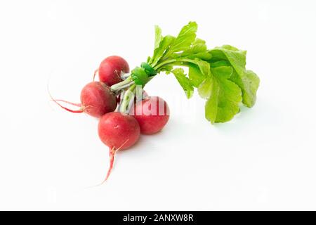 Red Muttern Rettich. Bio Lebensmittel Hintergrund. Gesunde, vegane Ernährung Hintergrund. isoliert weißer Hintergrund. Ansicht von oben. Freier Platz für Ihren Text Stockfoto