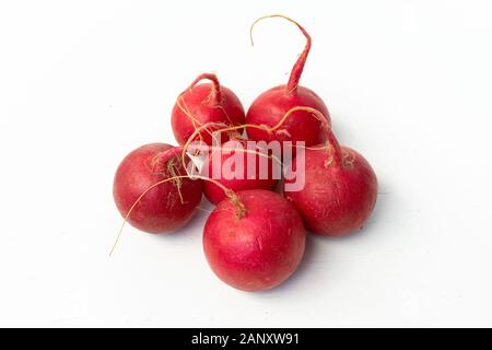 Red Muttern Rettich. Bio Lebensmittel Hintergrund. Gesunde, vegane Ernährung Hintergrund. isoliert weißer Hintergrund. Ansicht von oben. Freier Platz für Ihren Text Stockfoto
