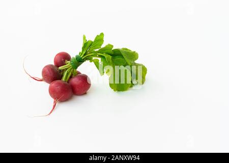 Red Muttern Rettich. Bio Lebensmittel Hintergrund. Gesunde, vegane Ernährung Hintergrund. isoliert weißer Hintergrund. Ansicht von oben. Freier Platz für Ihren Text Stockfoto