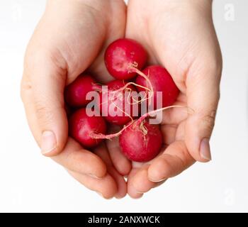 Red haselnuss Radieschen einer Handvoll. Bio Lebensmittel Hintergrund. Gesunde, vegane Ernährung Hintergrund. isoliert weißer Hintergrund. Ansicht von oben. Stockfoto