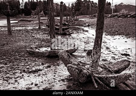 Alte Rostige Anker in der Anker Friedhof in Jamestown Bucht bei Ebbe in der Nähe von Sitka, Alaska, USA. Stockfoto