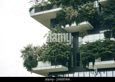 Bäume wachsen auf dem Balkon eines Wohnhauses. Die Umwelt und Alltag. Stockfoto