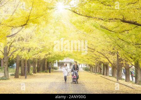 Tokyo, Japan - 6. November 2014: Showa Kinen Memorial Park. Schöne Reiseziel in Japan im Herbst. Tachikawa, Tokio - Japan Stockfoto