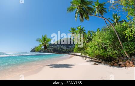 Paradise Sunny Beach in tropischen Insel. Stockfoto