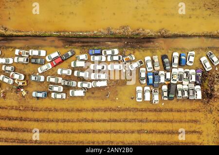 Bergungswagen Parkplatz in einem überfluteten Feld, von oben nach unten aus der Luft. Stockfoto