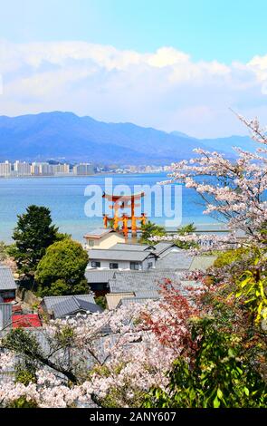 Luftaufnahme auf die berühmten schwimmenden Torii Tor, Itsukushima Schrein, der Insel Miyajima, Präfektur Hiroshima, Japan. UNESCO-Weltkulturerbe. Sakura blosso Stockfoto