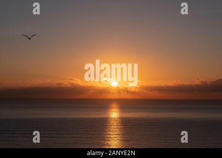 Blick auf den wunderschönen Sonnenaufgang mit Möwe über dem ruhigen Meer in Spanien Stockfoto