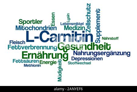 Wort Wolke auf einem weißen Hintergrund - L-Carnitin-L-Carnitin (Deutsch) Stockfoto